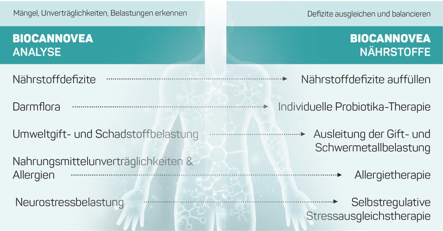 Infografik Analysa und Maßnahme